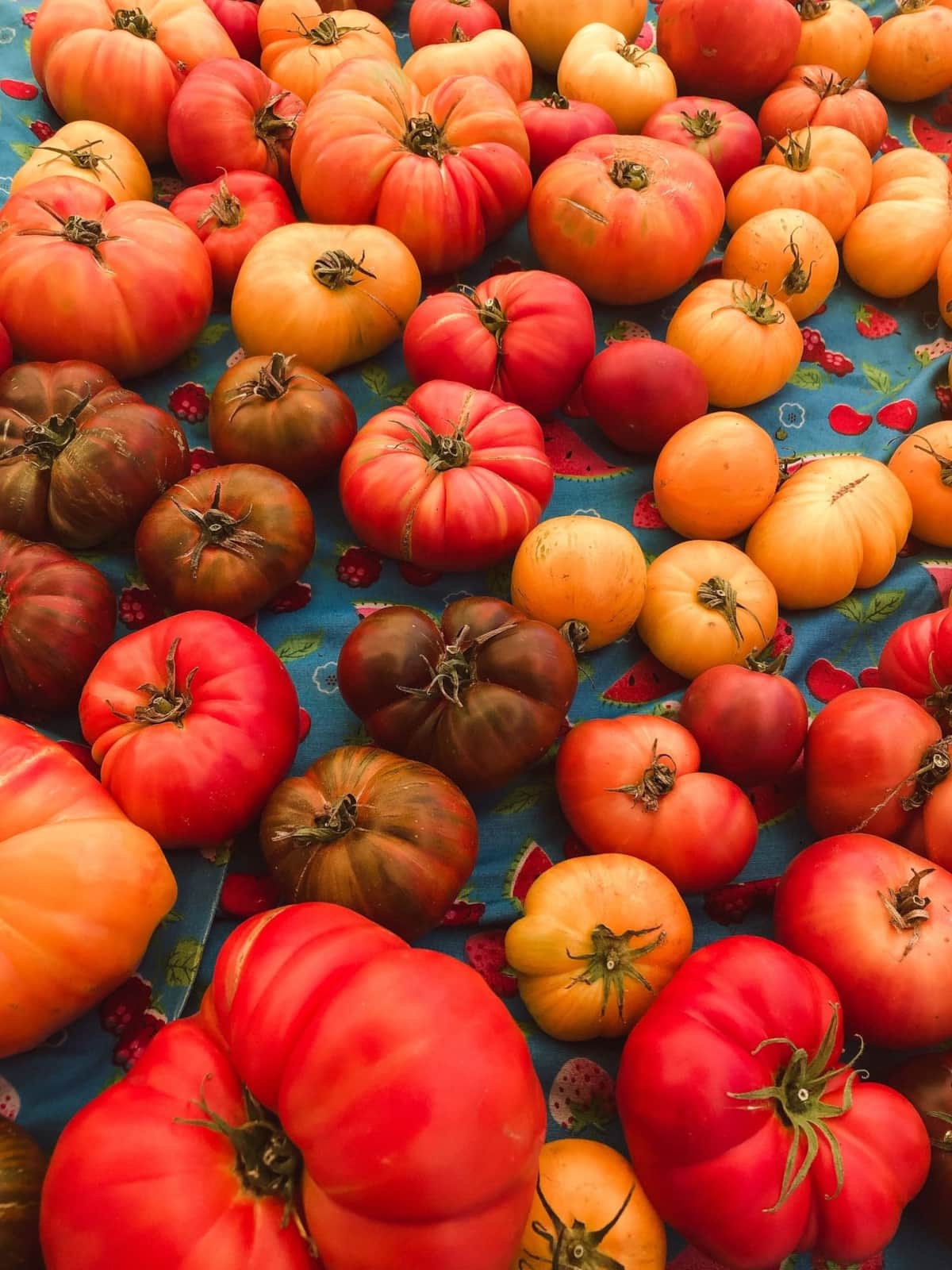 Heritage tomatoes at a farm shop