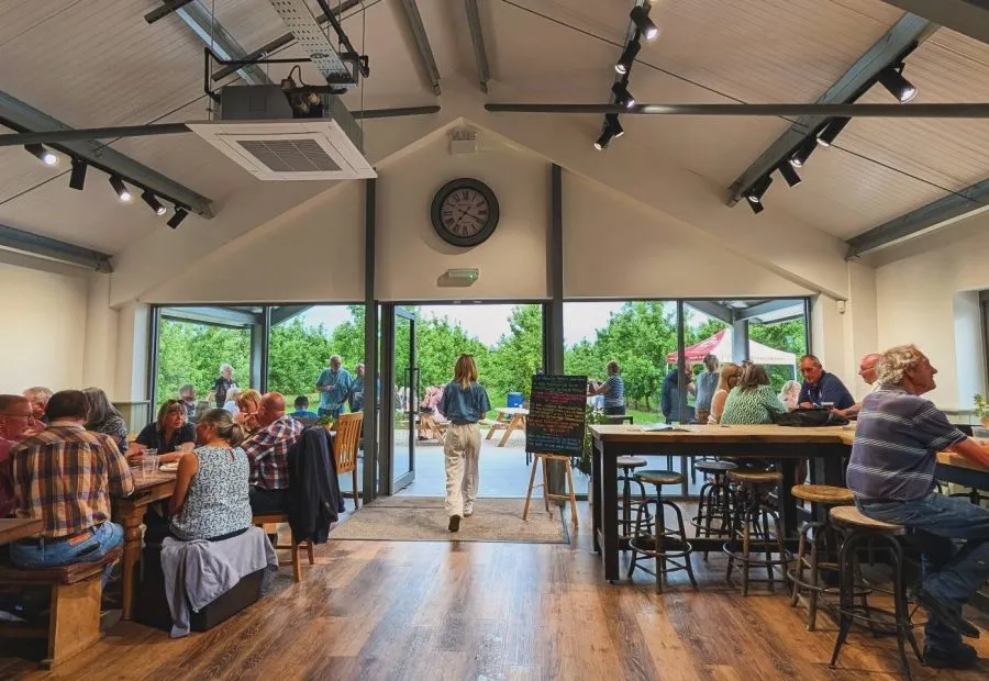 Guests in the tasting room at Harry’s Cider, with orchard rows visible through the windows